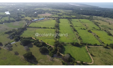 Se Vende Finca de 174.4 Hectareas en La Villa de Los Santos