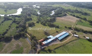 Se Vende Finca de 174.4 Hectareas en La Villa de Los Santos