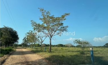Se Vende Finca de 174.4 Hectareas en La Villa de Los Santos