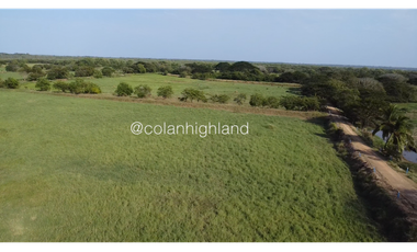 Se Vende Finca de 174.4 Hectareas en La Villa de Los Santos