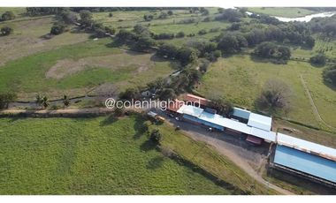 Se Vende Finca de 174.4 Hectareas en La Villa de Los Santos