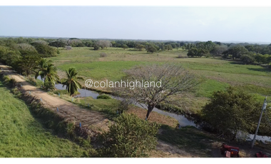 Se Vende Finca de 174.4 Hectareas en La Villa de Los Santos