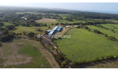 Se Vende Finca de 174.4 Hectareas en La Villa de Los Santos