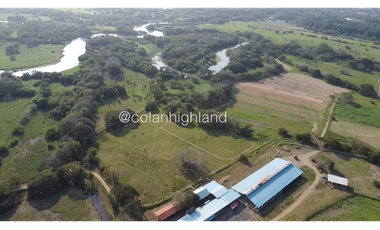 Se Vende Finca de 174.4 Hectareas en La Villa de Los Santos