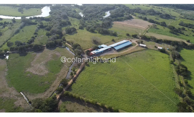 Se Vende Finca de 174.4 Hectareas en La Villa de Los Santos