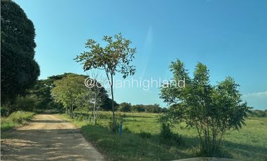 Se Vende Finca de 174.4 Hectareas en La Villa de Los Santos