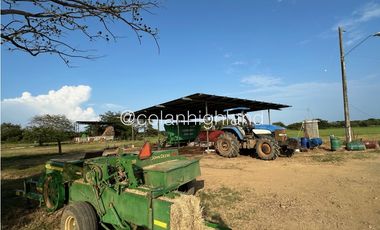 Se Vende Finca de 174.4 Hectareas en La Villa de Los Santos