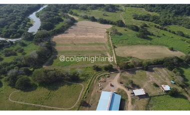 Se Vende Finca de 174.4 Hectareas en La Villa de Los Santos