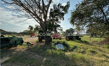 Se Vende Finca de 174.4 Hectareas en La Villa de Los Santos