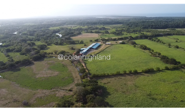 Se Vende Finca de 174.4 Hectareas en La Villa de Los Santos