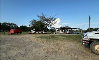 Se Vende Finca de 174.4 Hectareas en La Villa de Los Santos
