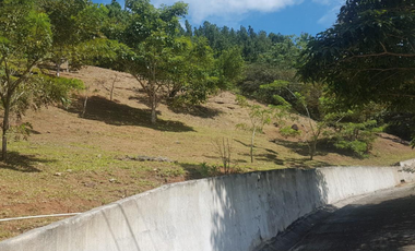 VENTA TERRENO ALTOS DE MARA OPORTUNIDAD DE INVERSIÓN PANAM