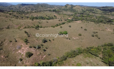 Se Vende Finca de Finca Ganadera de 308.5 ha. en Los Llanos de Ocú