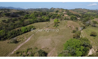 Se Vende Finca de Finca Ganadera de 308.5 ha. en Los Llanos de Ocú