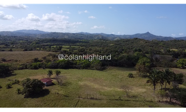 Se Vende Finca de Finca Ganadera de 308.5 ha. en Los Llanos de Ocú