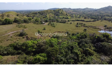 Se Vende Finca de Finca Ganadera de 308.5 ha. en Los Llanos de Ocú