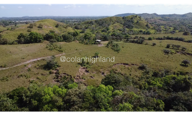 Se Vende Finca de Finca Ganadera de 308.5 ha. en Los Llanos de Ocú