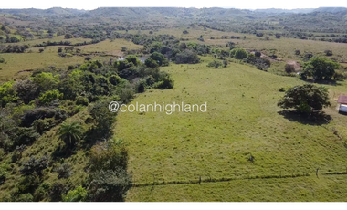 Se Vende Finca de Finca Ganadera de 308.5 ha. en Los Llanos de Ocú