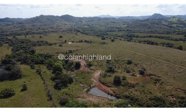 Se Vende Finca de Finca Ganadera de 308.5 ha. en Los Llanos de Ocú