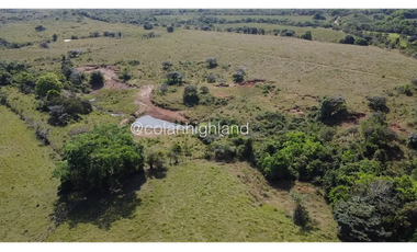 Se Vende Finca de Finca Ganadera de 308.5 ha. en Los Llanos de Ocú