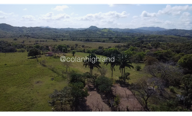 Se Vende Finca de Finca Ganadera de 308.5 ha. en Los Llanos de Ocú