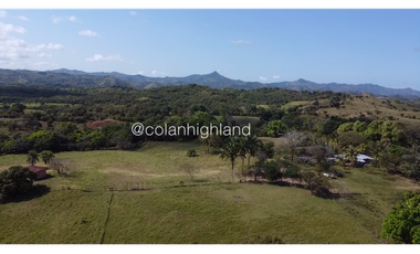 Se Vende Finca de Finca Ganadera de 308.5 ha. en Los Llanos de Ocú