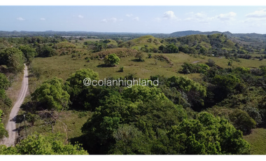 Se Vende Finca de Finca Ganadera de 308.5 ha. en Los Llanos de Ocú