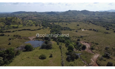 Se Vende Finca de Finca Ganadera de 308.5 ha. en Los Llanos de Ocú