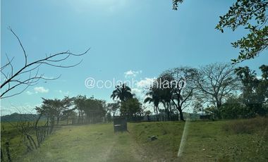 Se Vende Finca de Finca Ganadera de 308.5 ha. en Los Llanos de Ocú