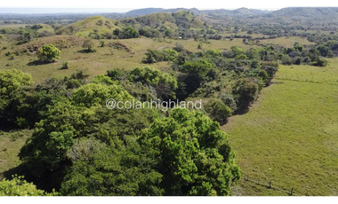 Se Vende Finca de Finca Ganadera de 308.5 ha. en Los Llanos de Ocú