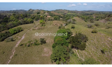 Se Vende Finca de Finca Ganadera de 308.5 ha. en Los Llanos de Ocú