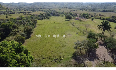 Se Vende Finca de Finca Ganadera de 308.5 ha. en Los Llanos de Ocú