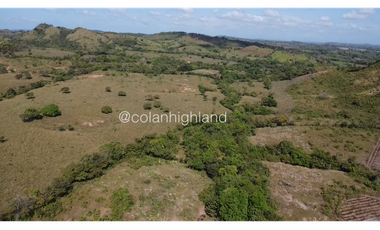Se Vende Finca de Finca Ganadera de 308.5 ha. en Los Llanos de Ocú