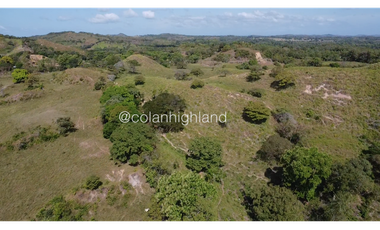 Se Vende Finca de Finca Ganadera de 308.5 ha. en Los Llanos de Ocú