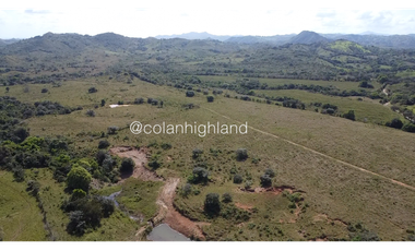 Se Vende Finca de Finca Ganadera de 308.5 ha. en Los Llanos de Ocú