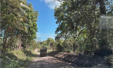Se Vende Finca de Finca Ganadera de 308.5 ha. en Los Llanos de Ocú
