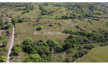 Se Vende Finca de Finca Ganadera de 308.5 ha. en Los Llanos de Ocú