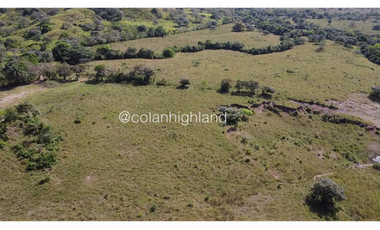 Se Vende Finca de Finca Ganadera de 308.5 ha. en Los Llanos de Ocú