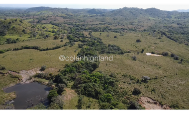 Se Vende Finca de Finca Ganadera de 308.5 ha. en Los Llanos de Ocú