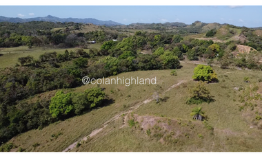 Se Vende Finca de Finca Ganadera de 308.5 ha. en Los Llanos de Ocú