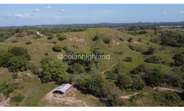 Se Vende Finca de Finca Ganadera de 308.5 ha. en Los Llanos de Ocú