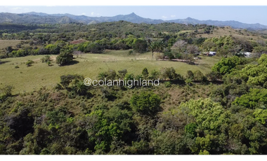Se Vende Finca de Finca Ganadera de 308.5 ha. en Los Llanos de Ocú