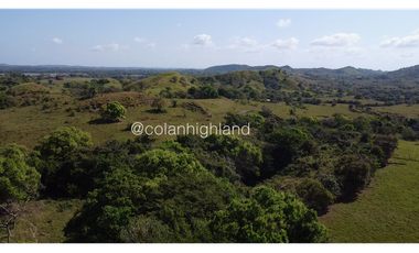 Se Vende Finca de Finca Ganadera de 308.5 ha. en Los Llanos de Ocú