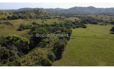 Se Vende Finca de Finca Ganadera de 308.5 ha. en Los Llanos de Ocú