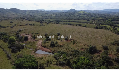 Se Vende Finca de Finca Ganadera de 308.5 ha. en Los Llanos de Ocú