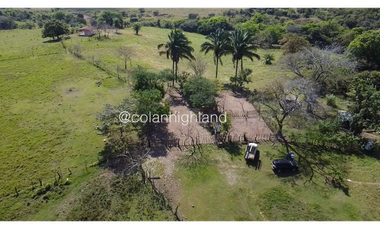 Se Vende Finca de Finca Ganadera de 308.5 ha. en Los Llanos de Ocú