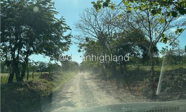 Se Vende Finca de Finca Ganadera de 308.5 ha. en Los Llanos de Ocú