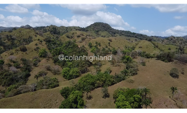 Se Vende Finca 1,731 hectáreas en Macaracas, Los Santos