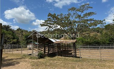 Se Vende Finca 1,731 hectáreas en Macaracas, Los Santos