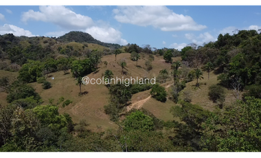 Se Vende Finca 1,731 hectáreas en Macaracas, Los Santos